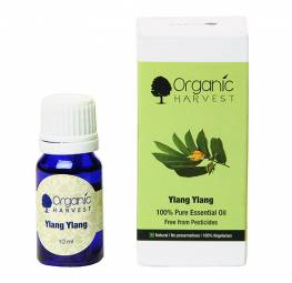 Organic Harvest Ylang Ylang Pure Essential Oil